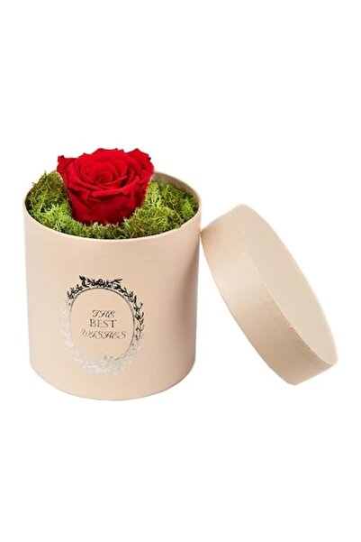 FY FashionForYou Trandafir roșu criogenizat decorat în cutie cu mușchi stabilizat