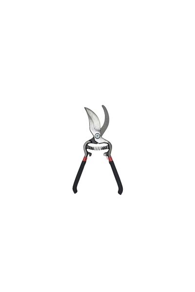 NO NAME Foarfeca vie Pruner Nr. 10 250mm