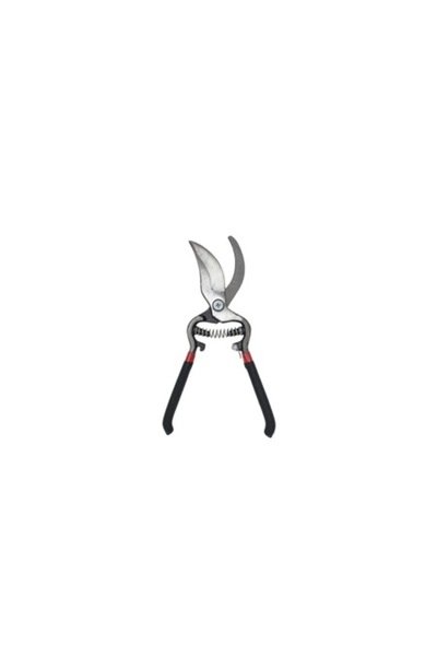 NO NAME Foarfeca vie Pruner Nr. 10 250mm