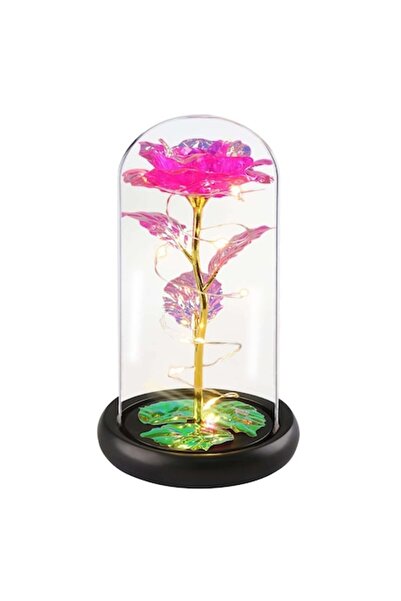 OEM Trandafir criogenat din sticlă în cupolă cu lumini LED, roz