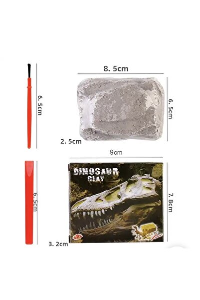 AZİZ OYUNCAK Stegosaurus Genus Skeleton Fossil Dinosaur Excavation Kit 8X9Cm Cardboard Box