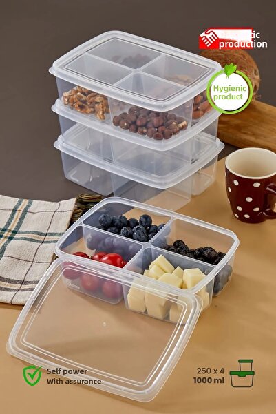 safestore 3 Pieces 4 Compartments 1000ml Vegetable Chicken Meat Container Refrigerator Organizer Storage Box