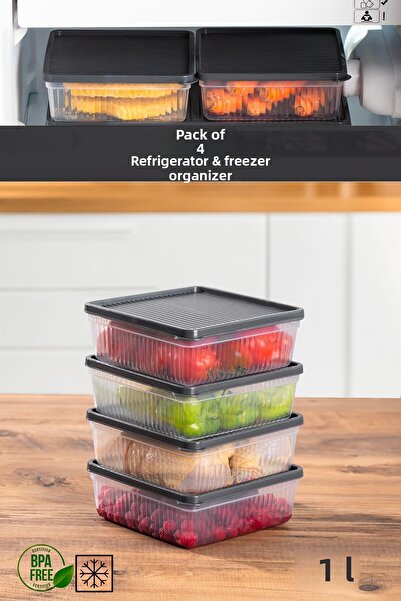 Porsima 1169 4-Piece Refrigerator Organizer - Freezer Palm Storage Container for Microwave and Deep Freezer, Anthracite