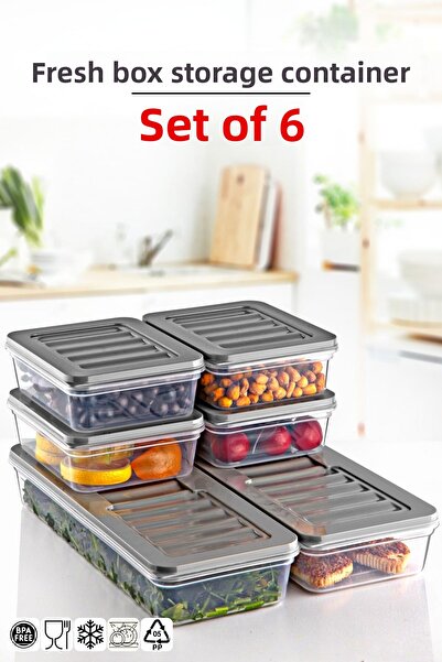 Nandy Home 1 Gray Set of 6 Freshbox - Storage Container Suitable for Microwave and Diffraction