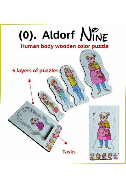 Ankebut لغز خشبي ملون لجسم الإنسان من Waldorf Nine، دورة حياة