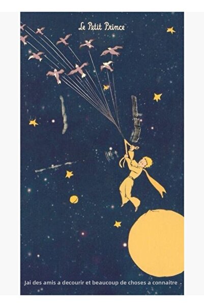 Universal Micul Prinț Tablou Poster din lemn decorativ