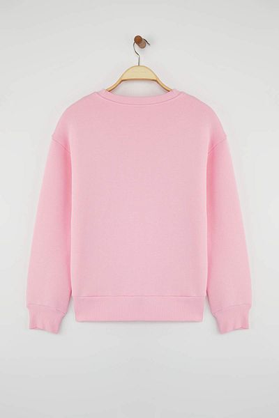 Trendyol Collection Light Pink Thick Fleece Inside Regular/Normal Fit Crew Neck Basic Knitted Sweatshirt Twoaw24Sw00101