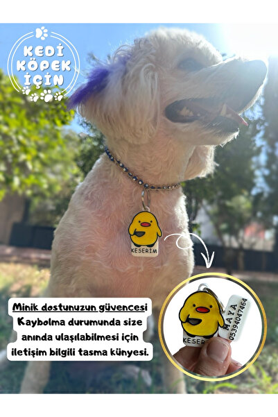 İsime Özel Zilli Kedi Ve Köpek Künyesi Ve Kolyesi ( 2. Resmi Okuyun )