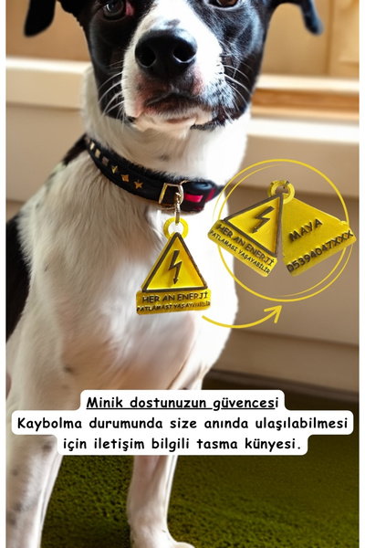 Patimin İzleri Kedi Ve Köpekler için Kişiye Özel Isim Yazılabilir Çıngıraklı Künye Ve İsimlik ( 2.Resmi Okuyun)