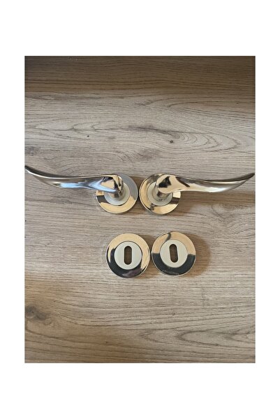 KAİZEN Kapı Kolu Yaprak Nikel Saten Çember Rozetli Oda