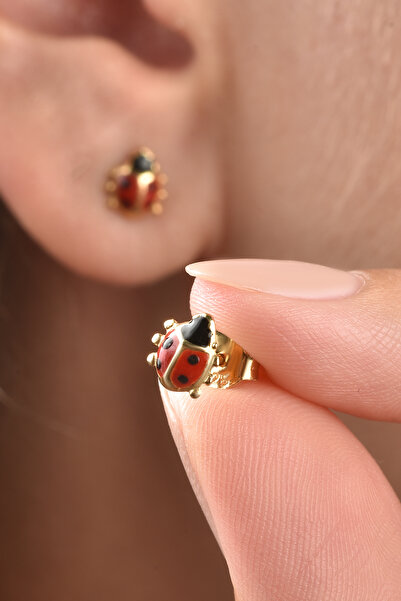 Nox Jewelry 14 Ayar Altın Kaplama Minik Uğur Böceği Çivili Gümüş Küpe - EE00100