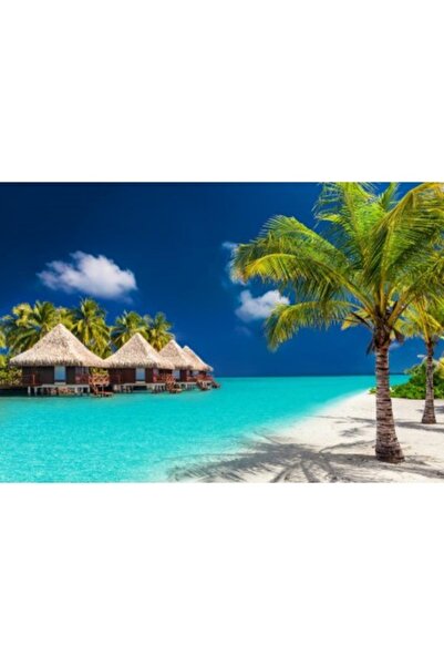 serpildüğme borabora Sayılarla Boyama Tuval Seti outlet (FIRÇA dahil BOYA har...