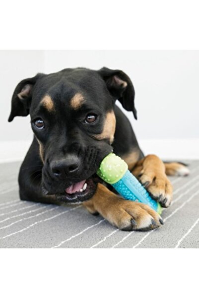 Kong Core Strength Köpek Çiğneme Oyuncağı 17,5cm