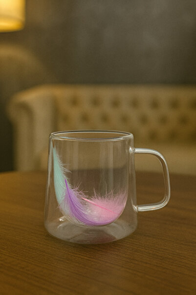 YzHome Single Double Wall Glass Feather Mug with Handle 250 ml