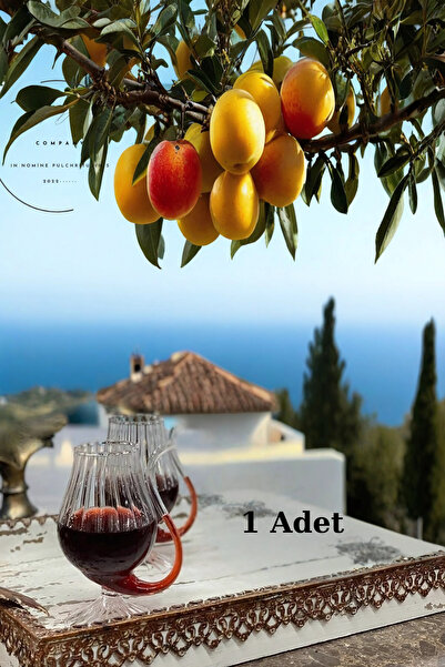 FORSEİ LUCA كوب كوكتيل بوروسيليكات مخطط بلون القهوة - مقاوم للحرارة، كوب مصاص...