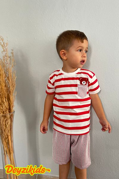 Deyzikids Printed T-Shirt Kids Girls and Boys Tracksuit Set Cute and Cool Casual T-Shirt and Bottom Top 2-5 Years