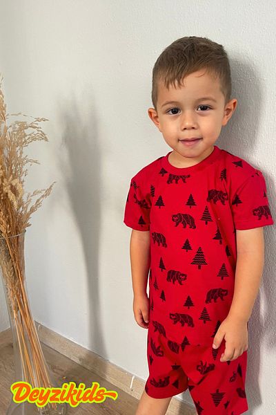 Deyzikids Printed T-Shirt Kids Girls and Boys Tracksuit Set Cute and Cool Casual T-Shirt and Bottom Top 2-5 Years