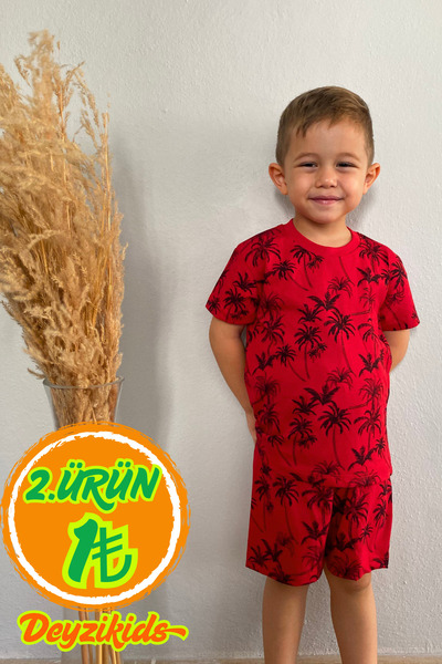Deyzikids Printed T-Shirt Kids Girls and Boys Tracksuit Set Cute and Cool Casual T-Shirt and Bottom Top 2-5 Years