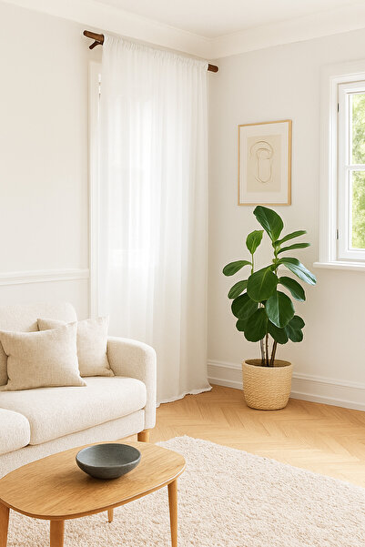 pinoxi 100cm Masif Ahşap Perde Askısı Rustik Ahşap Boru 100 Cm Kahverengi