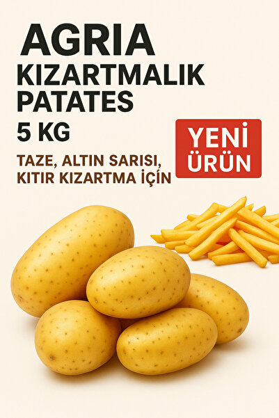 Organikiste Agria Kızartmalık Patates 5 Kg – YENİ ÜRÜN- Taze, Altın Sarısı, K...