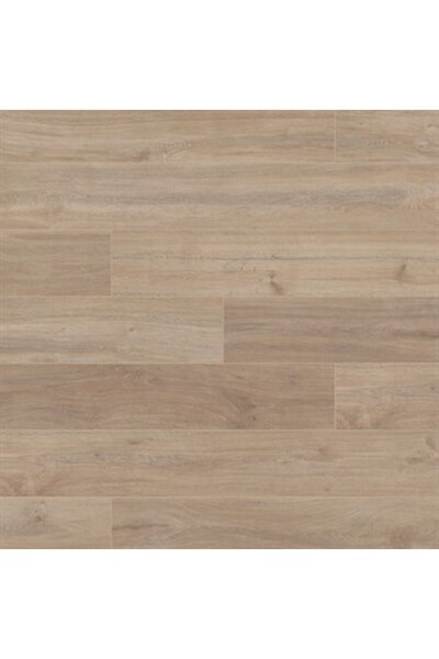 Evdema Vitale Modera Sarı Kavak 8 mm Derzli Laminat Parke VTLP.5966