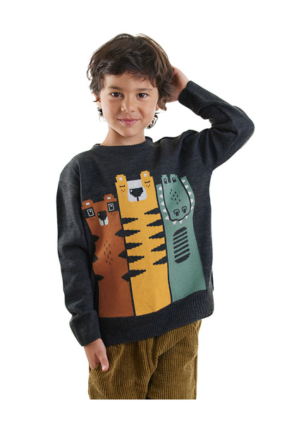 Denokids Animals Boy's Knitwear Sweater