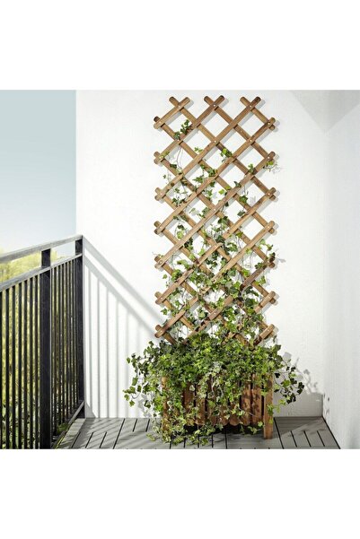 IKEA Kea Askholmen 72x190 Cm Masif Akasya Bahçe Çiti Paravan Sarmaşıklık Bitk...