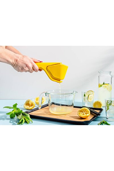 EUROLUXE Practical Lemon and Citrus Juicer |   Durable, Easy to Use