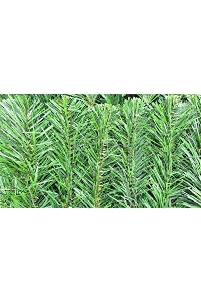 OEM Ramuri artificiale de brad verde 15 cm