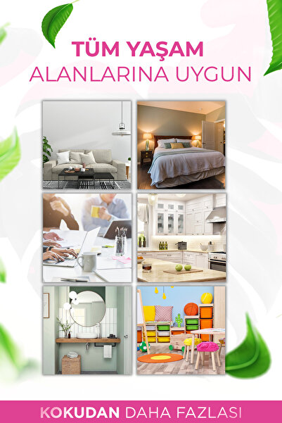 AURAN Mango & Karpuz Çubuklu Oda ve Ortam Kokusu Yedek Dolum Kiti Yedek Şişe Refill 250ml