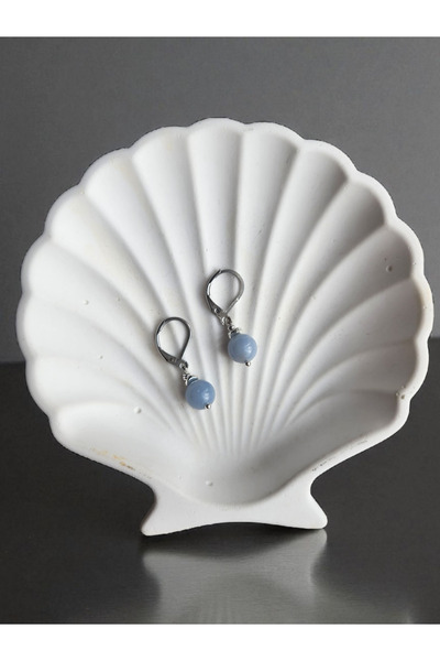 Home Anjelit Stone Steel Earrings