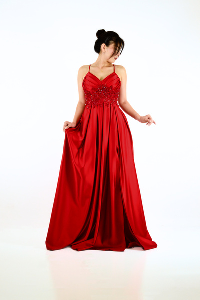 DİNÇLER Front Beaded Embroidered Back Lace up Slit Satin Long Evening Dress