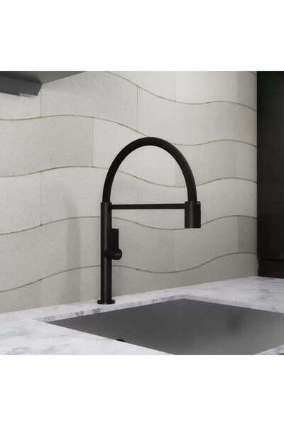 KORMAN TECHNIK Kitchen Faucet, Sanitary Brass, Black, CF2045