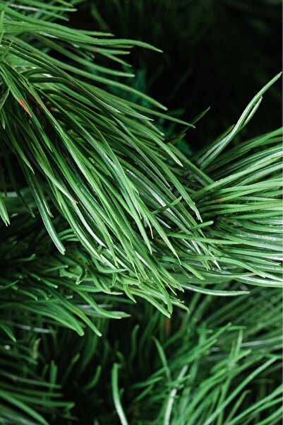 BeySüS Yılbaşı Çam Ağacı Lüks Seri 210 cm 1057 Dal Kalın Dallı Fjoren 422