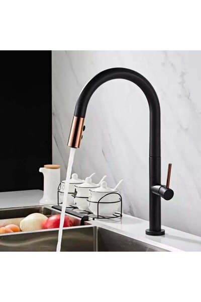 KORMAN TECHNIK Kitchen Faucet, Sanitary Brass, Black, CF1035/B
