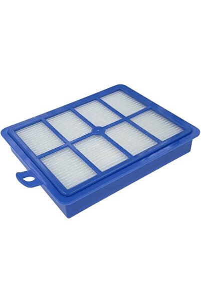 PAA-home Filtru compatibil AEG, Electrolux, Boldio, Excellio, Oxygen, Oxy3-Sy...