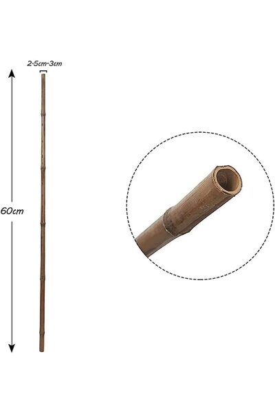 genric FFD Natural Bamboo Sticks for Plant Support (60 cm) - 10 Pieces Bamboo Stakes Poles