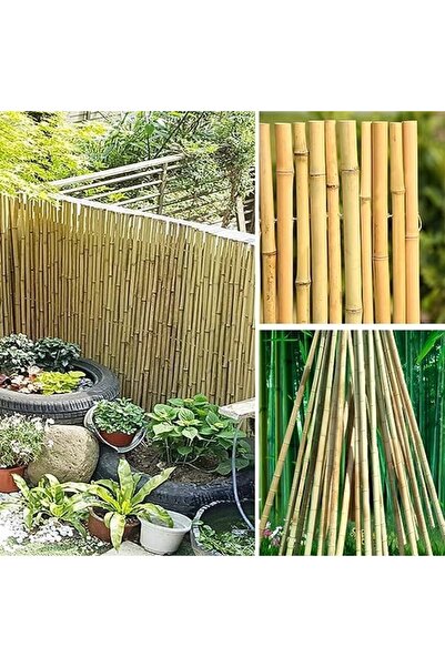 genric FFD Natural Bamboo Sticks for Plant Support (60 cm) - 10 Pieces Bamboo Stakes Poles