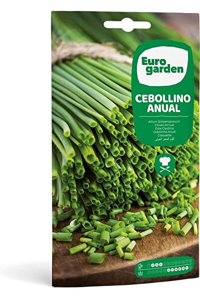 EURO GARDEN بذور الثوم المعمر السنوية عالية الجودة المصنوعة في إسبانيا