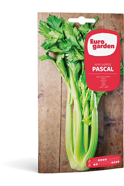 EURO GARDEN بذور الكرفس (Apio Verde Pascal) عالية الجودة مصنوعة في إسبانيا