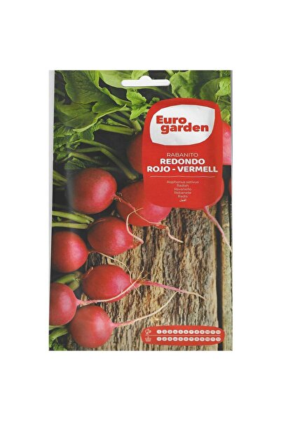 EURO GARDEN بذور الفجل الأحمر الدائري عالي الجودة (صنع في إسبانيا)