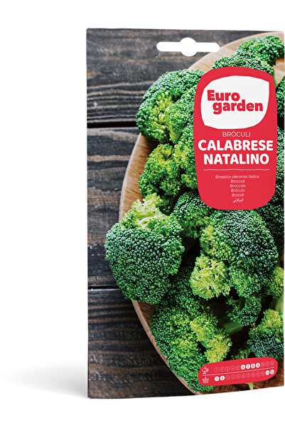EURO GARDEN بذور البروكلي (بروكولي كالابريس ناتالينو) عالية الجودة مصنوعة في ...