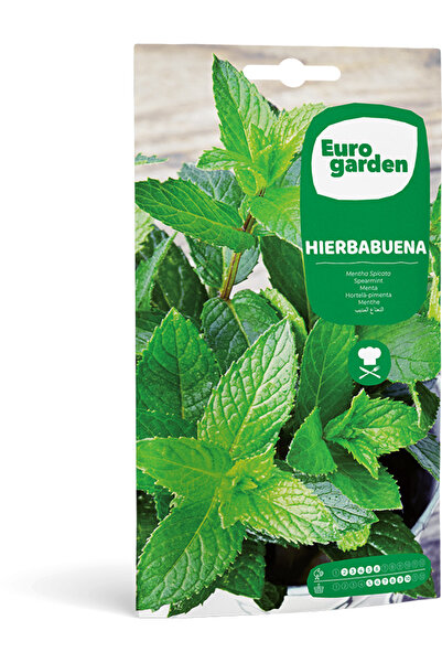 EURO GARDEN بذور النعناع (Hierbabuena) عالية الجودة مصنوعة في إسبانيا