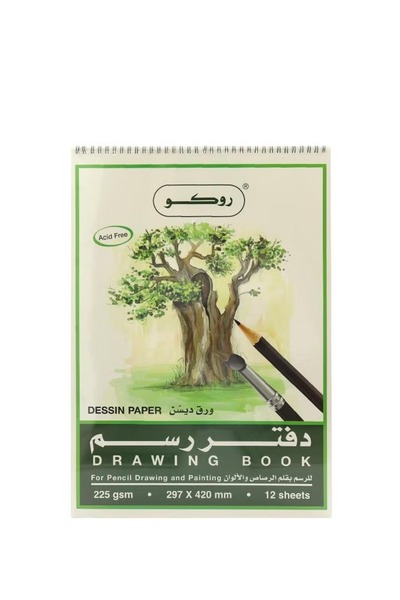 Roco دفتر رسم 225 جرامًا للمتر المربع بألوان متنوعة مقاس A3