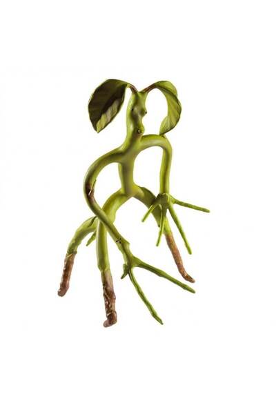 Noble Collection Fantastic Beasts Bowtruckle Figurine, 18 cm, Multicolor