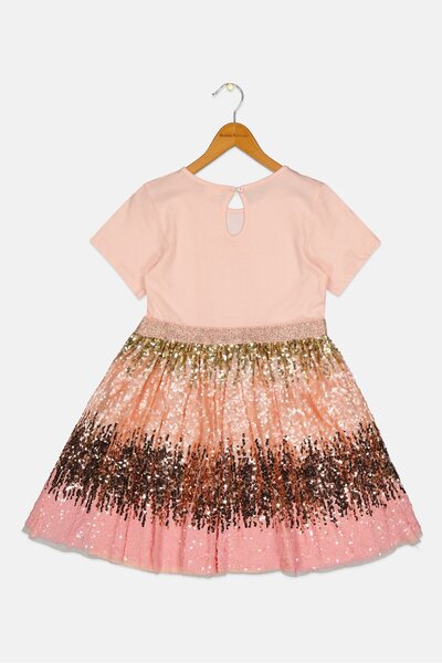 Miss Toddlers Girl Embellished Tutu Dress, Multicolor