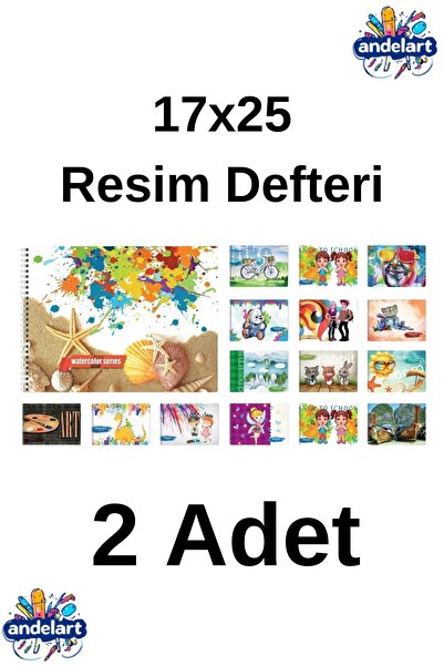 andelart Resim Defteri Spiralli Karton Kapak 15 Yp 17x25 2 Adet
