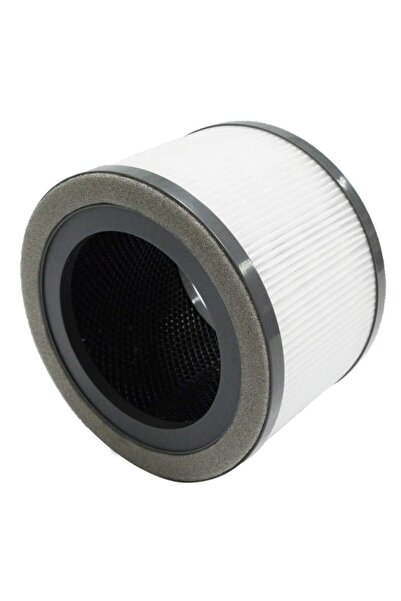 PAA-home Filtru compatibil LEVOIT Vista 200-RF, filtru preliminar nylon, true...