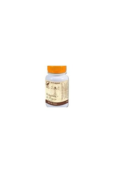 MEDICA Ginkgo Biloba și Magneziu 60 Capsule