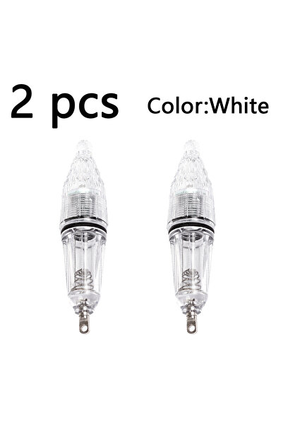 Choice أبيض - قطعتان قطعتان باستخدام بطاريات AA، مصباح LED موفر للطاقة لصيد الأسماك في البحر، ضوء قارب لصيد الأسماك الطازجة